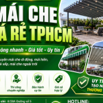 Mái Che Giá Rẻ TPHCM – Thi Công Mái Che Đẹp, Bền, Uy Tín Tại Mái Che Lam Sơn