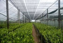 LƯỚI LAN CHE NẮNG