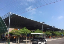 Thi công mái che suối nước nóng 