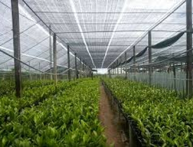 LƯỚI LAN CHE NẮNG